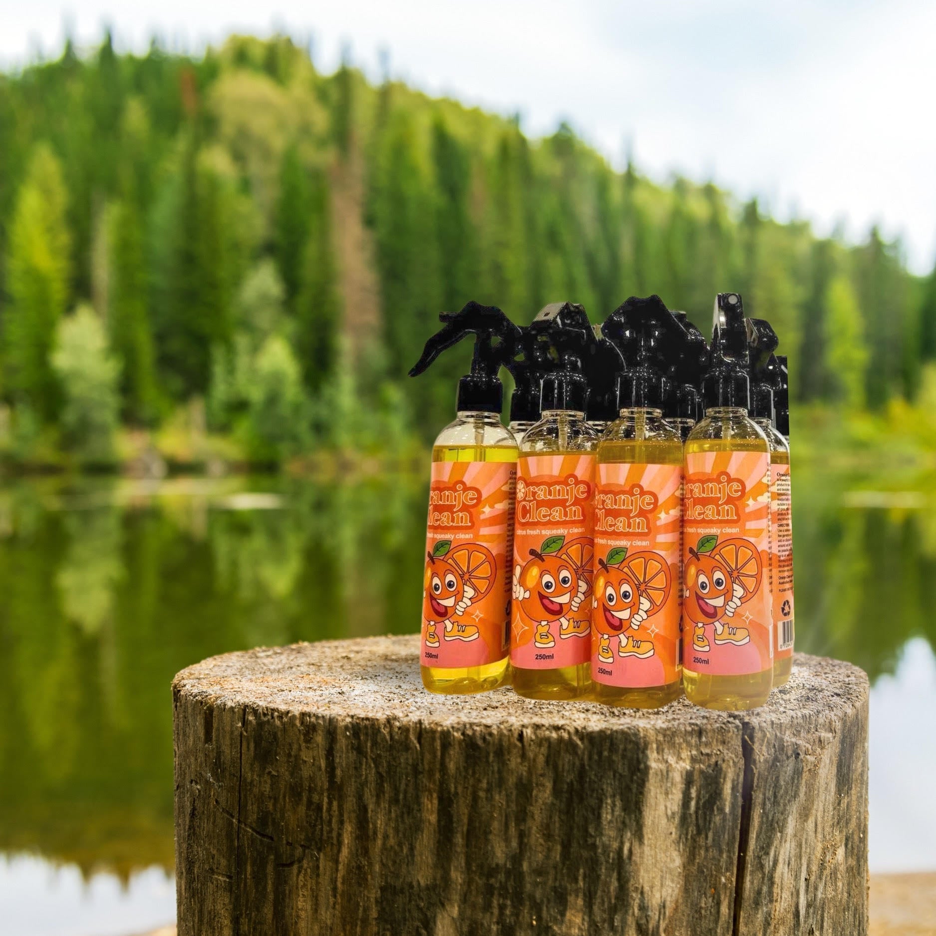 Oranje Clean Solution